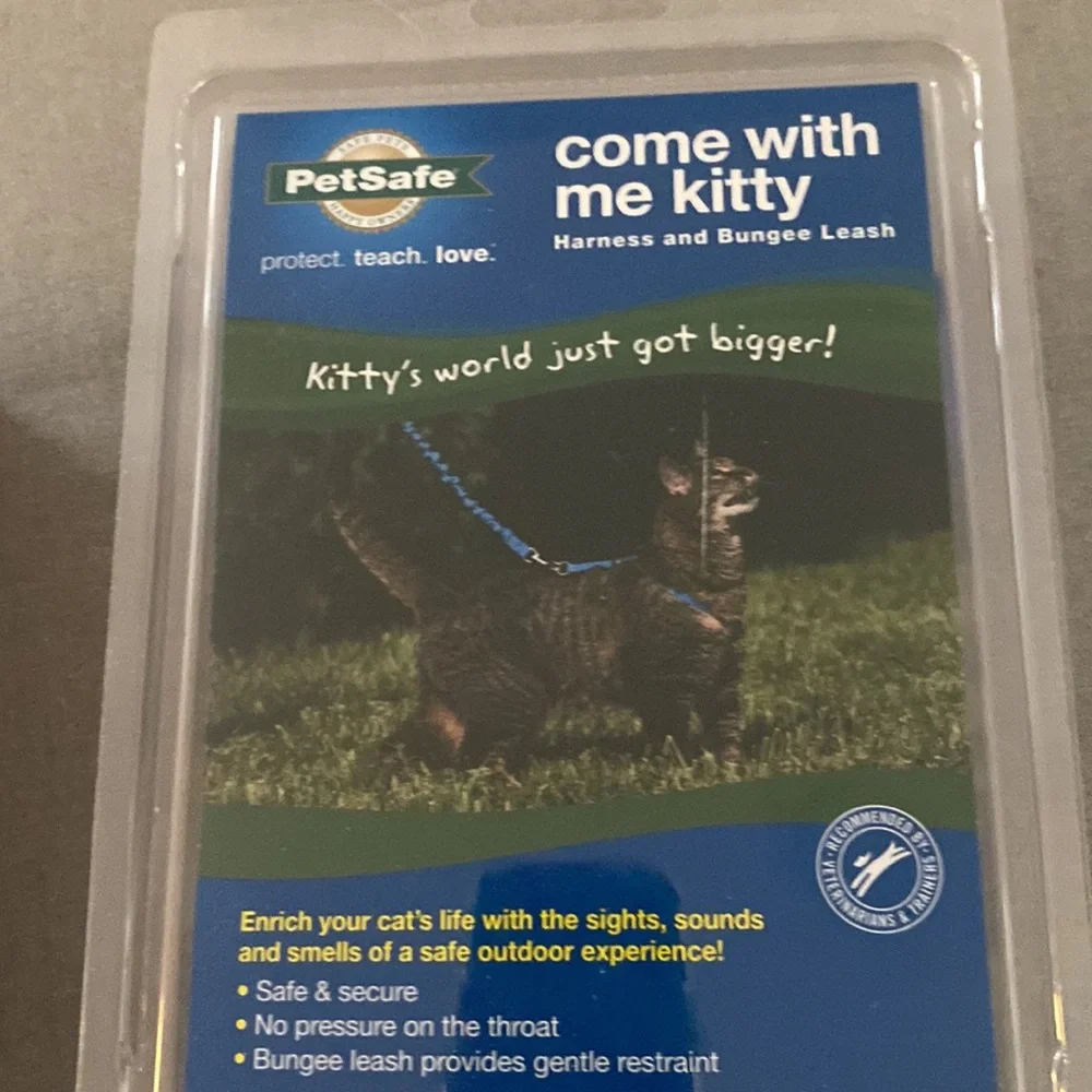 Cat harness and bungee cord leash.